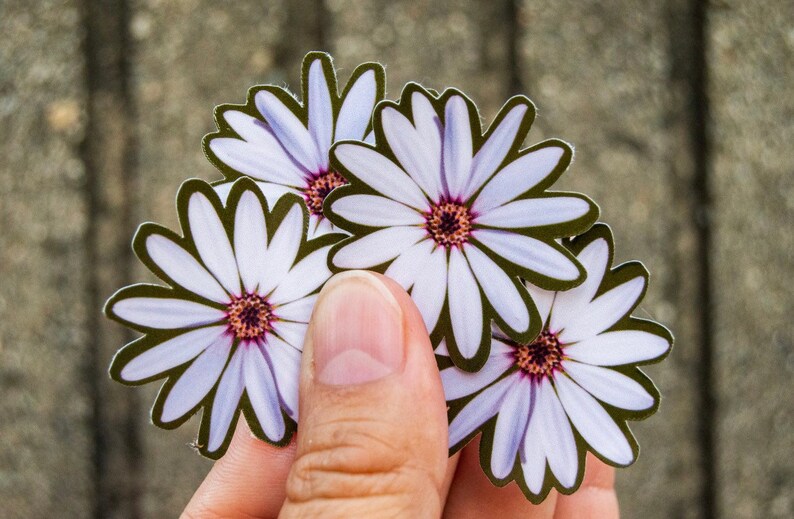 Entrelazados Flower Sticker 4-Pack| Floral Sticker Vinyl Sticker Multicolor Colorful