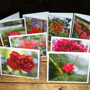 Fleurs rouges - Jeu de cartes pour correspondance à 2 volets avec enveloppes