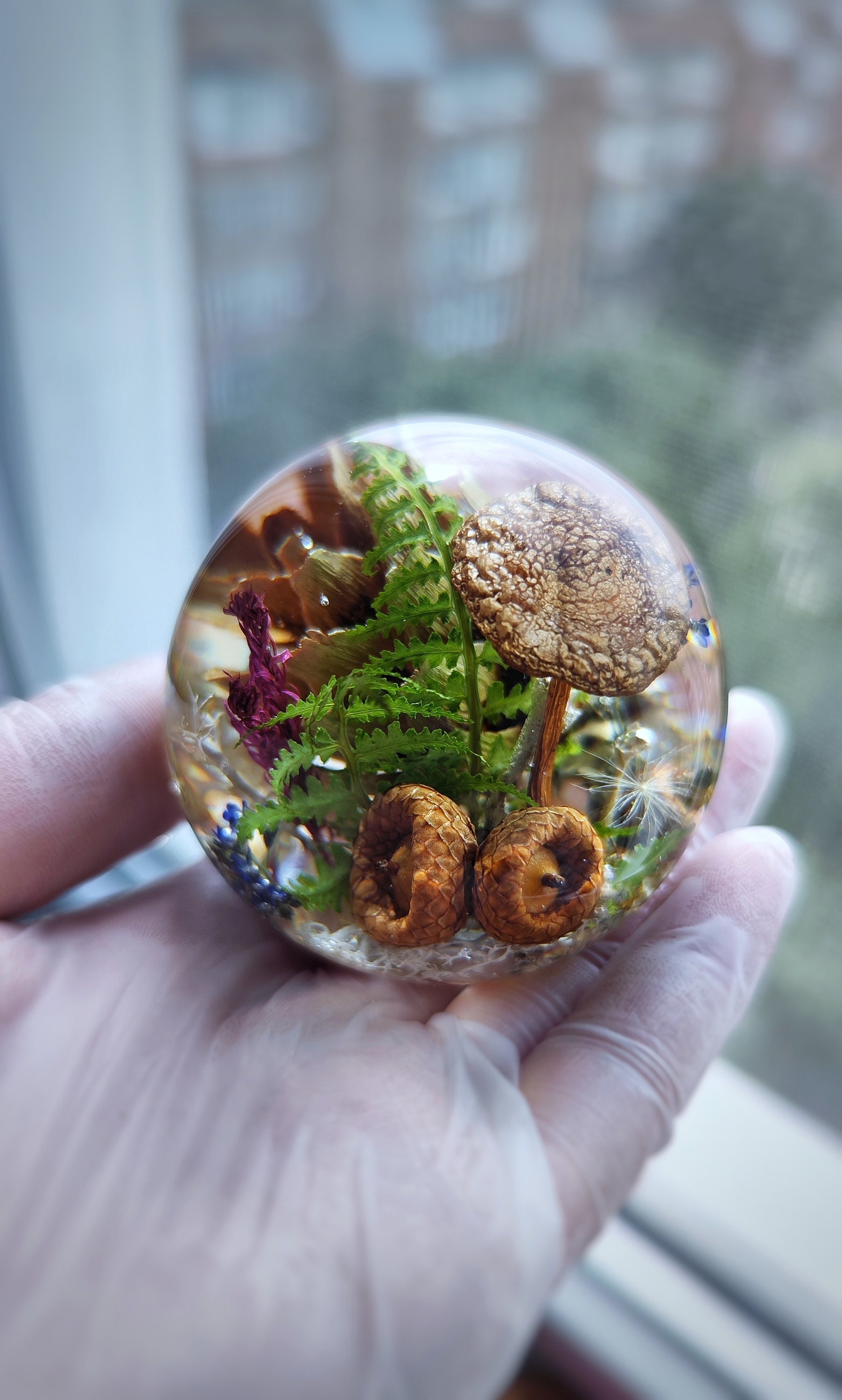 Home Decor Paperweight. Forest Resin Ball. Real Mushroom Fern Etsy UK