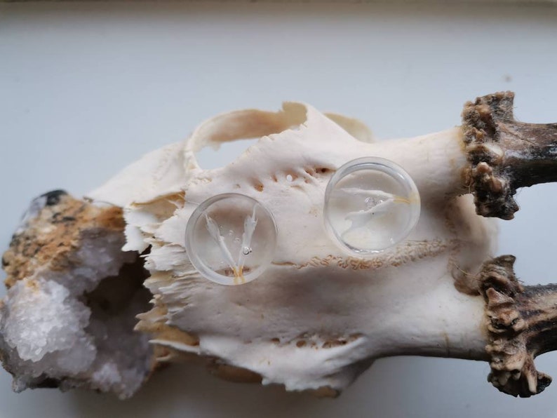 16mm Ear Tunnels. Bone Ear Plugs. Bone Accessories. Resin Etsy UK