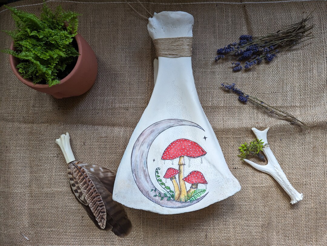 Large Cow Scapula Bone. Bone Display. Bones. Mushrooms and Etsy