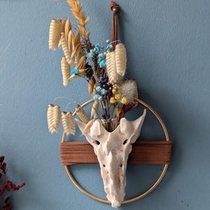 Gold ring wall hangers. Skull display wall art. Cottage core. Bone home decor. Oddities. Home decor. Bone wall art.