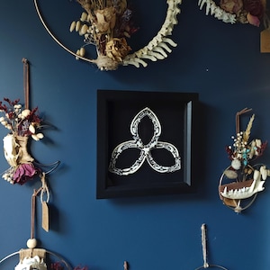 Bone displays. Pumpkin bone displays. Bone home decor. Bone wall art. Mounted bones. Halloween. Art. Alternative art. Studio art. Pumpkin