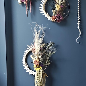 Bone displays. Dried flowers. Bone and flowers. Bone home decor. Bone wall art. Mounted bones. Halloween. Art. Alternative art. Studio art.