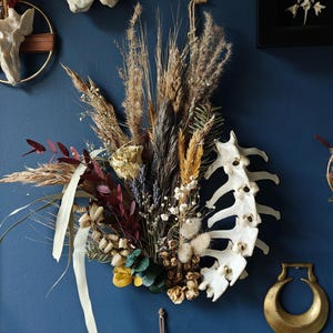 Bone displays. Dried flowers. Bone and flowers. Bone home decor. Bone wall art. Mounted bones. Halloween. Art. Alternative art. Studio art.