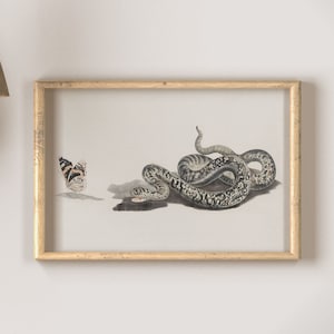 Vintage Wall Art Original Design - A snake with a butterfly Instant Download Printable Art Home Decor Vintage Painting  Snake Illustration