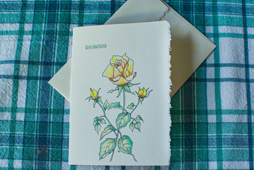 Set of 5 Note Cards With Yellow Rose - Etsy