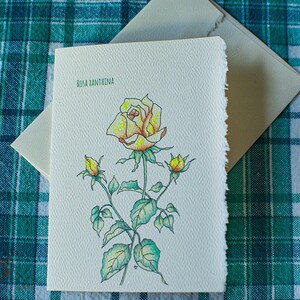 Set of 5 Note Cards with Yellow Rose