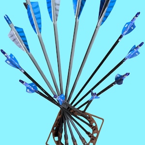 May include: A collection of archery arrows with blue and white fletching, gray shafts, and black shafts. The arrows are arranged in a fan shape, held together by a brown arrow holder, against a light blue background.