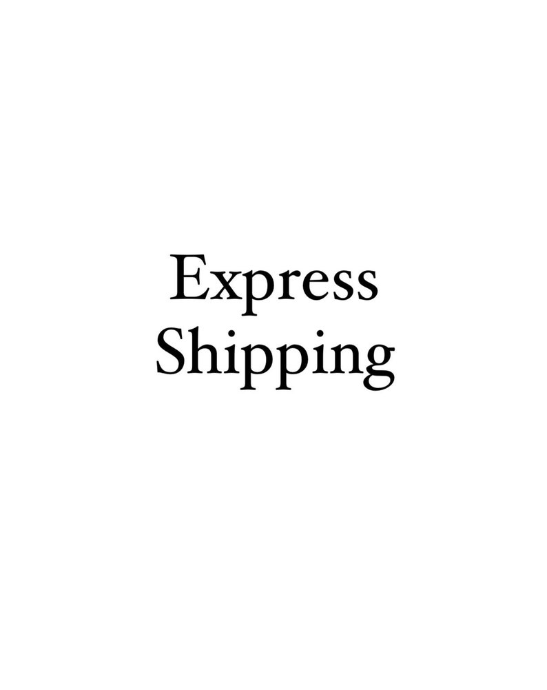 Express Shipping image 1