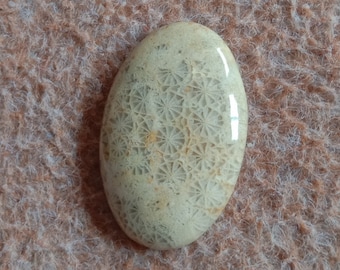 Natural Fossil Coral,Fossil Coral Cabochon,Fossil Coral Loose Gemstone,Top Quality Fossil Coral Matching Earrings Pair,29x22x4 mm,42.10 Cts
