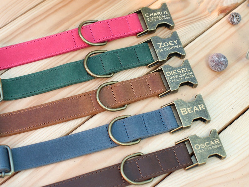 Personalized Dog Collar, Leather Dog Collar with Name, Engraved Dog Collars, Custom Dog Collar, Dog Collar Brown Pink Blue Green image 3