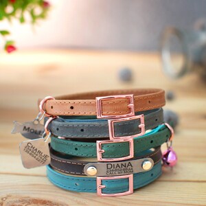 May include: Four leather dog collars stacked on a wooden surface. The collars are in different colors: brown, gray, green, and blue. Each collar has a metal buckle and a metal tag with a name and phone number. The tags read "Molly", "Charlie 234-844-7422 138-894-3277", and "Diana 234-852-8844 Call My Mom".