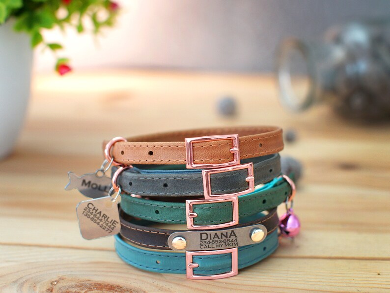 May include: Four leather dog collars stacked on a wooden surface. The collars are in different colors: brown, gray, green, and blue. Each collar has a metal buckle and a metal tag with a name and phone number. The tags read "Molly", "Charlie 234-844-7422 138-894-3277", and "Diana 234-852-8844 Call My Mom".