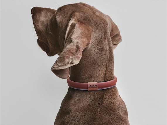 ソフトIDネームビーズ付きロールレザー犬用首輪、小型・中型・大型犬用