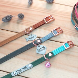 May include: Three different dog collars with personalized tags. The collars are brown leather, green with a bell, and blue with a silver tag that says "DIANA 238-952-8844 CALL MY MOM".