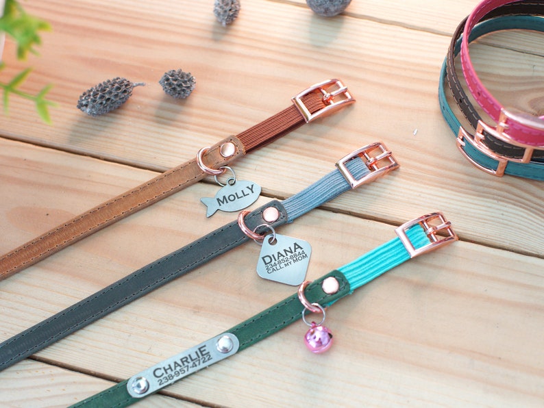 May include: Three different dog collars with personalized tags. The collars are brown leather, green with a bell, and blue with a silver tag that says "DIANA 238-952-8844 CALL MY MOM".