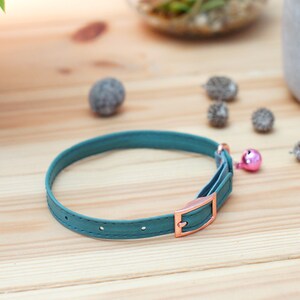 May include: A teal blue cat collar with a rose gold buckle and a pink bell.