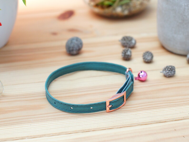 May include: A teal blue cat collar with a rose gold buckle and a pink bell.