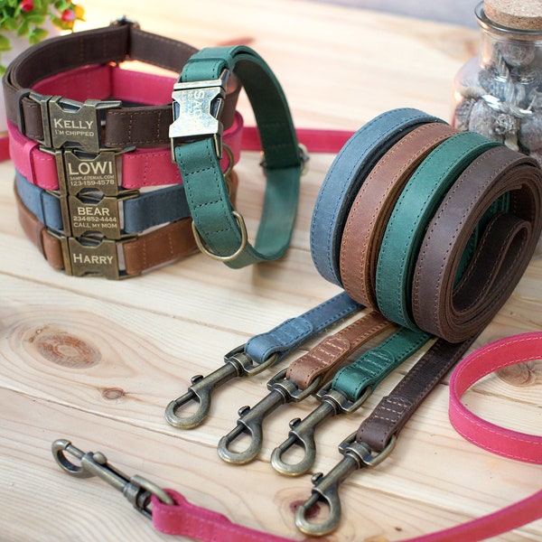 Lederen hond riem, gepersonaliseerde hond riem 5 ft, pet leash voor honden kleine middelgrote grote, hond leiband roze groen blauw bruin