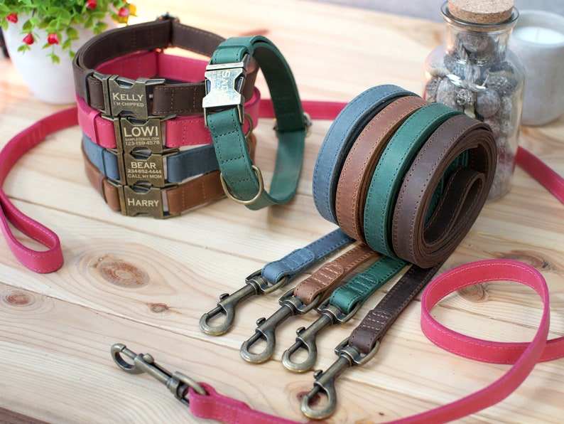 Guinzaglio per cani in pelle, guinzaglio personalizzato per cani 5 piedi, guinzaglio per cani di piccole dimensioni medio, guinzaglio per cani rosa verde blu marrone