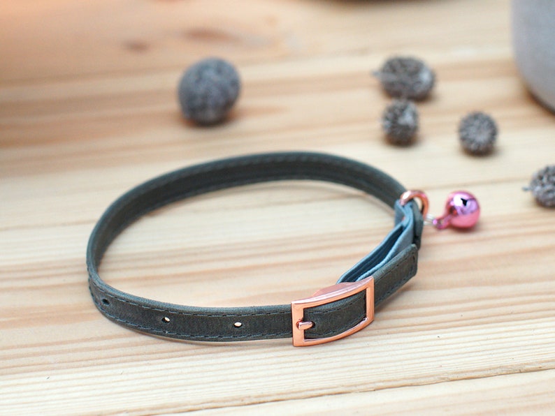 May include: A green leather cat collar with a rose gold buckle and a pink bell.