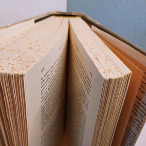 May include: An open book with aged, cream-colored pages. The pages are marked with brown spots, and the text is visible. The book's spine is visible at the top, and the pages are fanned out.