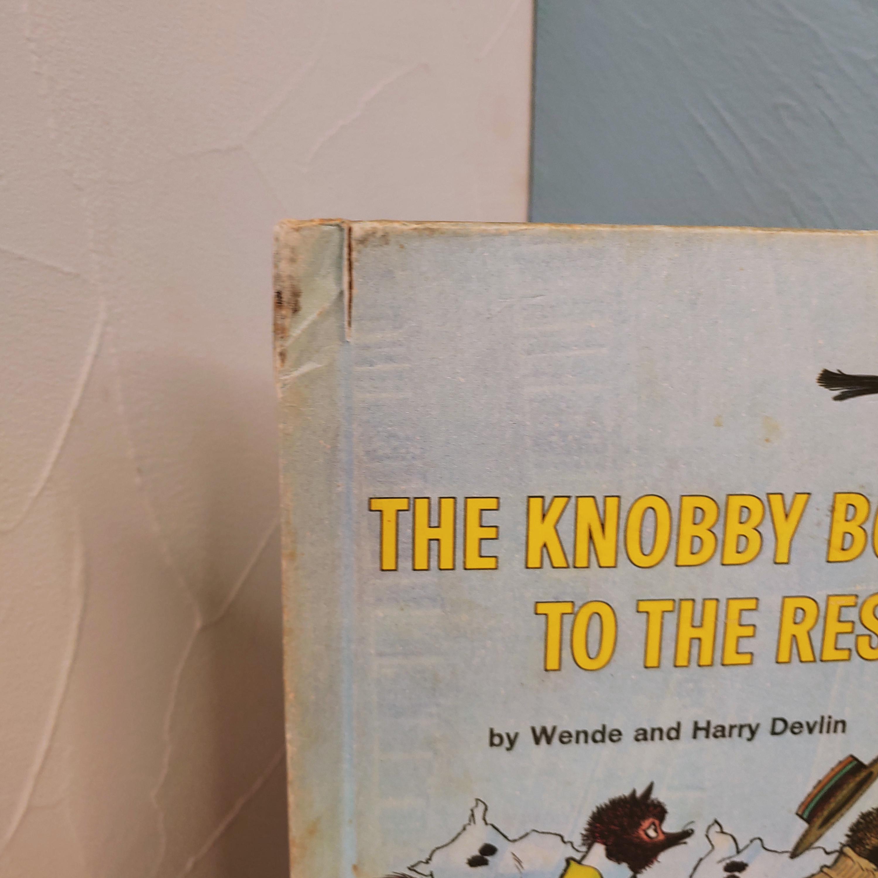 Harry Devlin Rau Vintage Children's Book, the Knobby Boys to the Rescue, Wende and Harry ...
