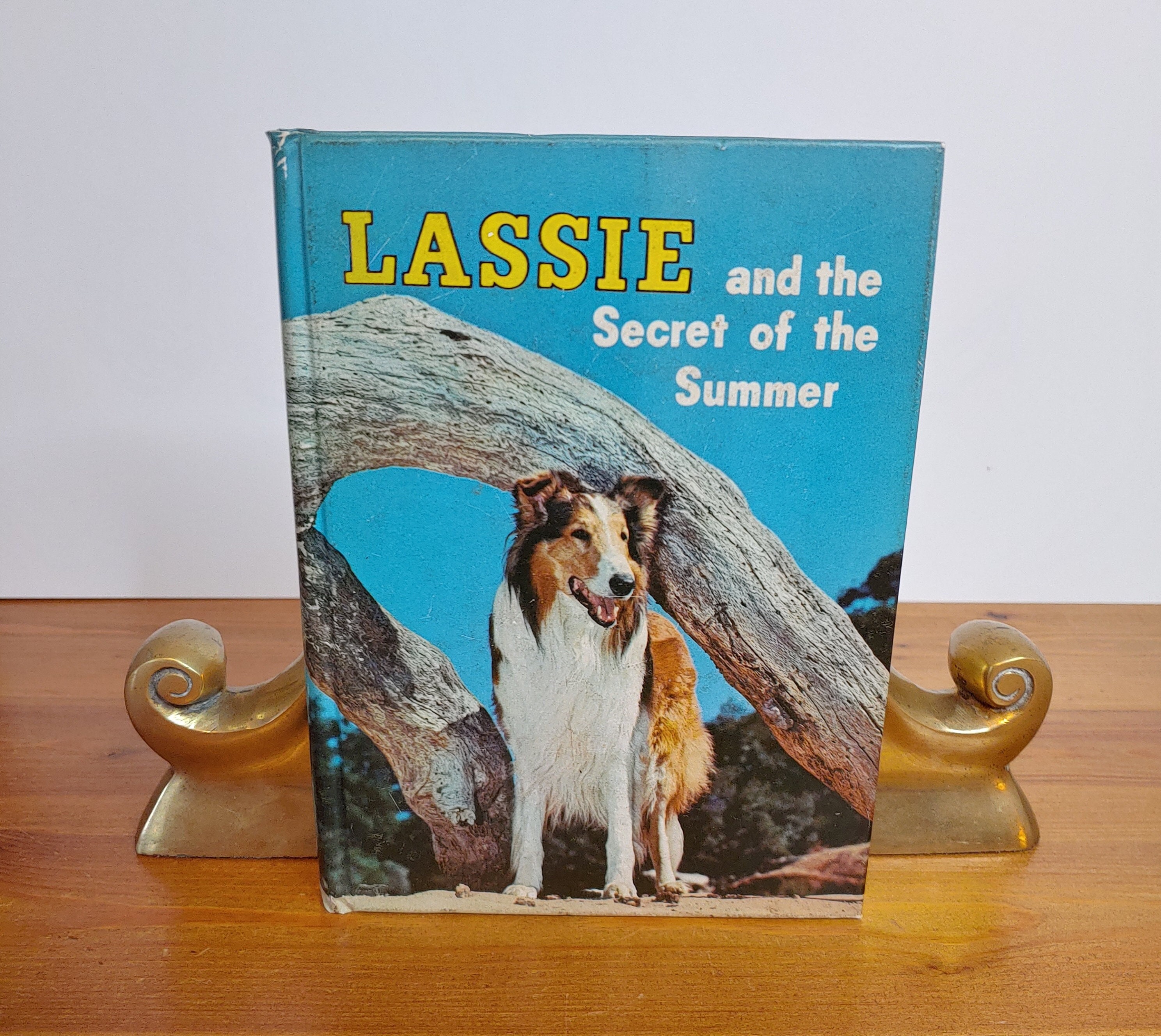 Lassie and the Secret of the Summer Dorothea Snow, Authorized TV