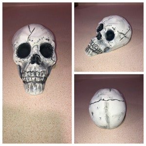 Calavera Skull, Gift for Skull Lover, Halloween Decor, Human Skull, Gothic Art, Skull Sculpture