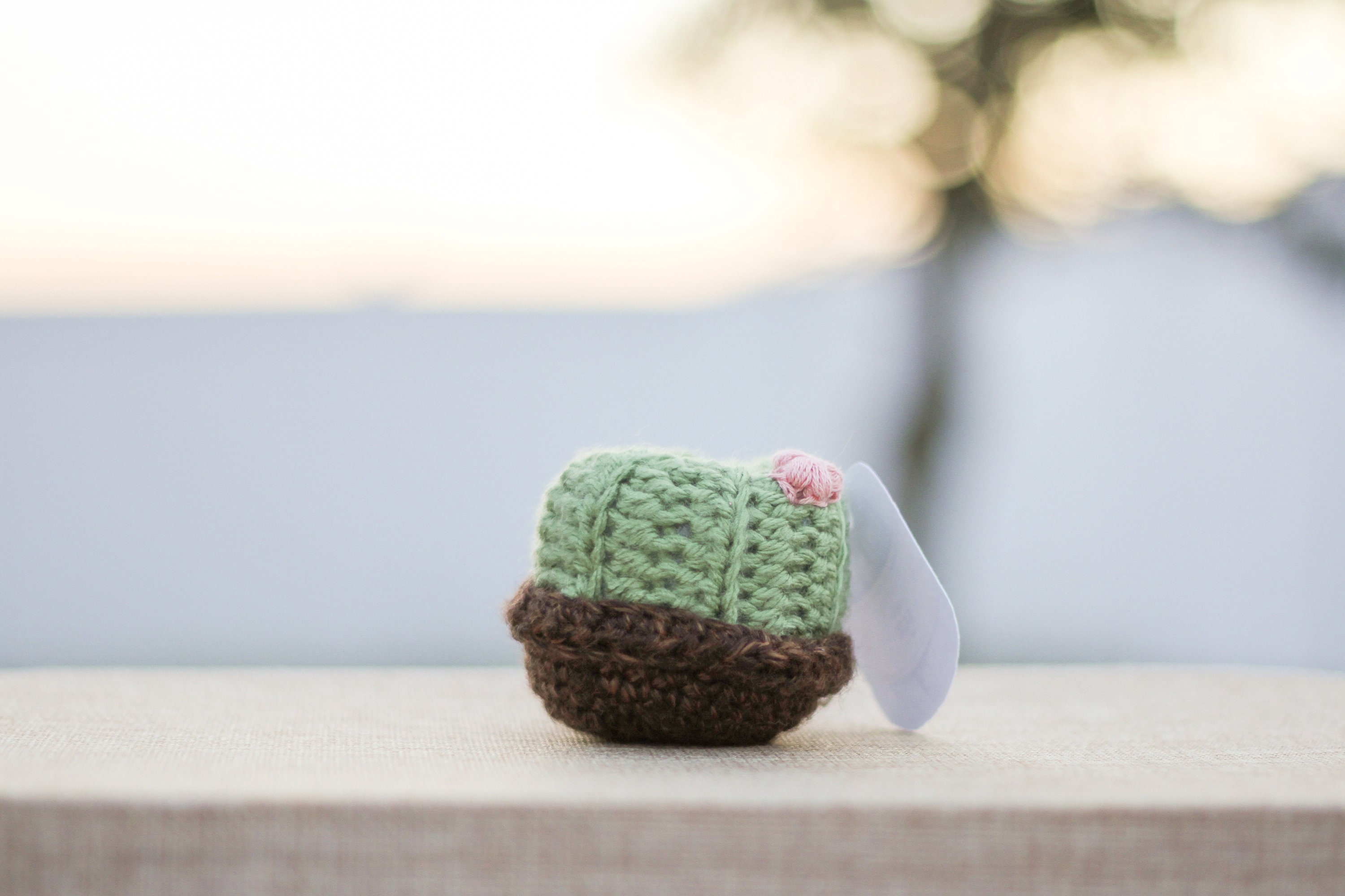 Cactus Dog Toy