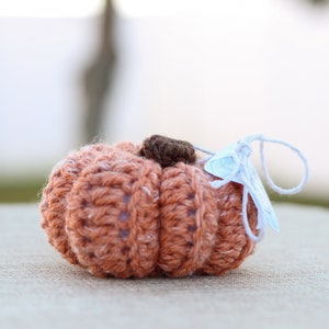 Pumpkin - Small