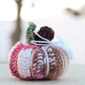 Pumpkin - Small