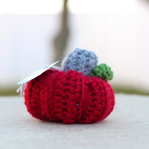 Pumpkin - Small