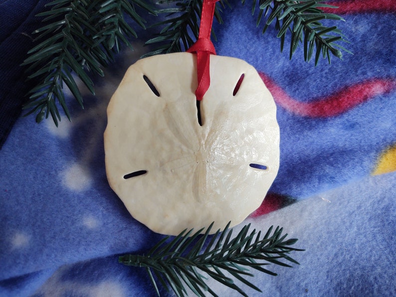 Salevintage Sand Dollar Ornament. Free Shipping in the Continental