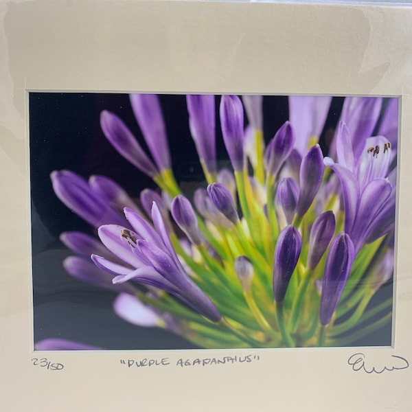 Signed and Numbered Etsy