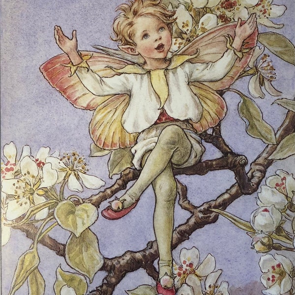 Original Vintage Print 1995 by Cicely Mary Barker.  The Pear Blossom Fairy.  Childs Nursery, Playroom, Childs Gift, Any Home Decor