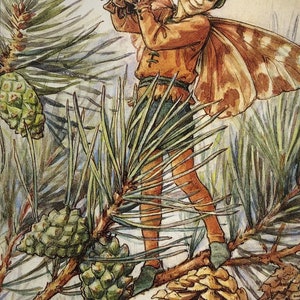 May include: A whimsical illustration of a fairy with brown wings holding a pine cone above its head. The fairy is wearing a brown tunic and green pants. The fairy is standing on a branch of a pine tree with several pine cones.