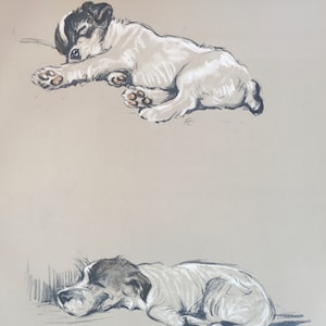Impresión Vintage Original 1936 Por Lucy Dawson. Miguel. El fox terrier de alambre. Artista británico, retratos de perros, arte de pared de perros, decoración del hogar.
