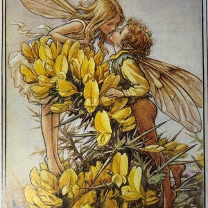 Könnte beinhalten: Eine Fee mit goldenem Haar und Flügeln küsst eine Fee mit braunem Haar und Flügeln. Sie stehen in einem Busch mit gelben Ginsterblüten. Der Buchstabe G befindet sich in der oberen rechten Ecke des Bildes. Der Text "Gorse" befindet sich unten im Bild.