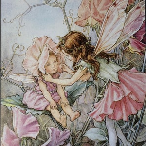 May include: An illustration of two fairies among large pink and purple flowers. One fairy, with brown hair and wings, is adjusting the flower hat of another fairy. The fairies are dressed in pink and green clothing.