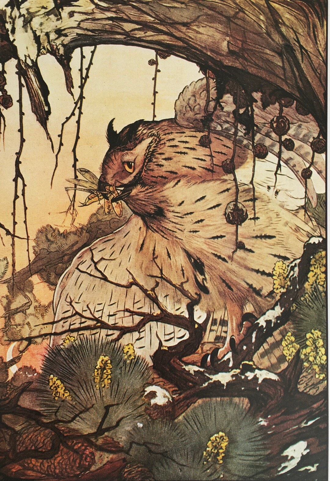 【Werbung vintage 】Aesop il_1080xN.2545221065_h1zz.jpg