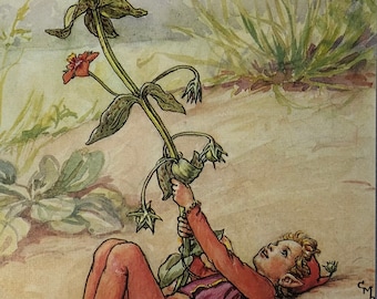 Original Vintage Print 1995 by Cicely Mary Barker.  The Scarlet Pimpernel Fairy. Childs Nursery, Playroom Childs Gift, Fairies  Home Decor