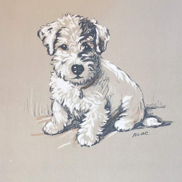 Original Vintage Print 1936 By Lucy Dawson.  Albert. The Sealyham Terrier. British Artist, Portraits Of Dogs, Dog Wall Art, Home Decor.