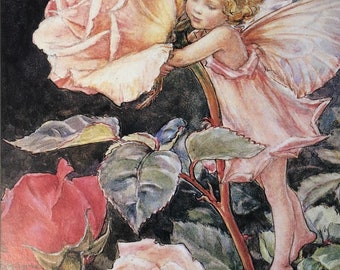 Original Vintage Print 1995 by Cicely Mary Barker.  The Rose Fairy. Childs Nursery, Playroom Childs Gift, Fairies  Home Decor