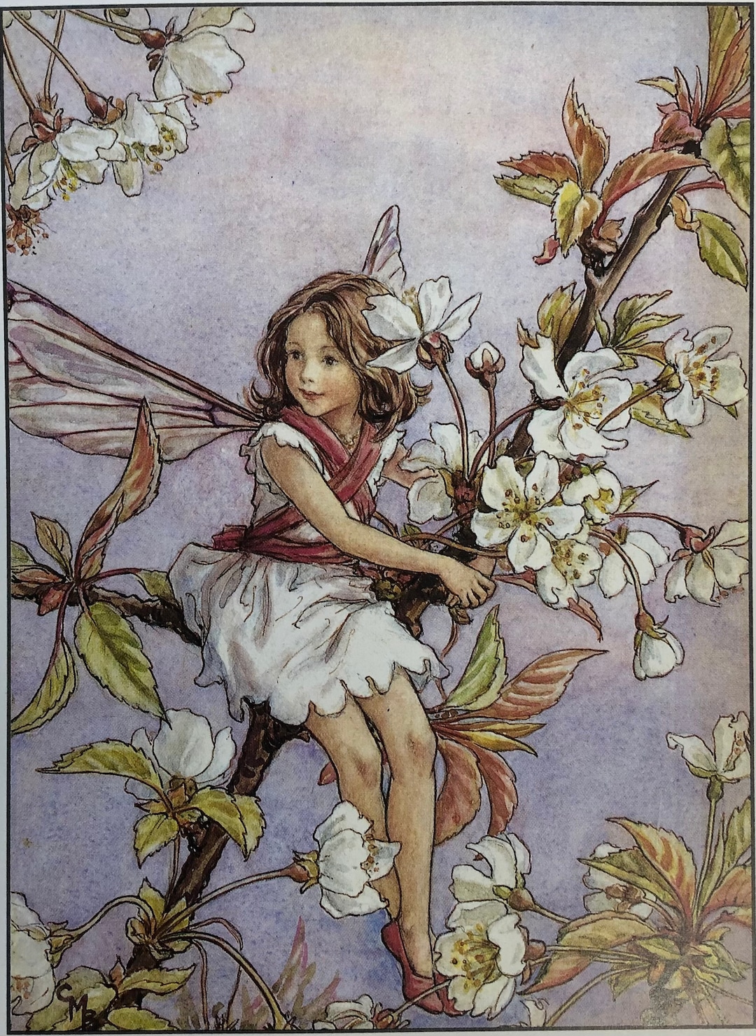 Hermann 桜の花妖精～Cherry Blossom Fairy～ il_1080xN.3786697007_9ovo.jpg