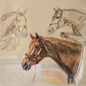 クラウス・フィリップ オリジナル ヴィンテージ 馬術プリント 1992年。3つの馬の頭の習作。馬、カラフルな馬の壁アート、壁装飾プリント、室内装飾