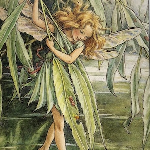 Originele vintage print 1995 door Cicely Mary Barker. De wilgenfee. Kinderdagverblijf, Speelkamer Kindercadeau, Feeën Home Decor