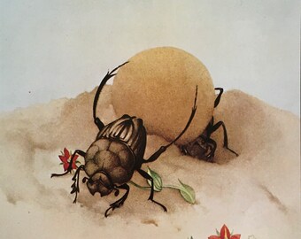 Original Vintage Print By Detmold 1976. Sisyphus Beetle. Fabre's Insects. Wall Art Home Decor Insect Art Fable And Fantasy