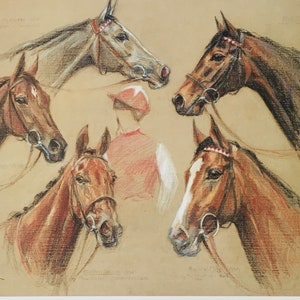 Klaus Philipp Original Vintage Equestrian Print 1993. Five Different Racehorse Heads. Colourful Horse Wall Art Wall Decor Print, Home Decor